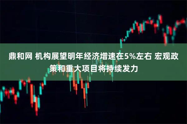 鼎和网 机构展望明年经济增速在5%左右 宏观政策和重大项目将持续发力