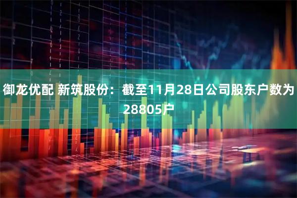 御龙优配 新筑股份：截至11月28日公司股东户数为28805户