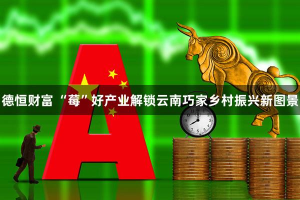 德恒财富 “莓”好产业解锁云南巧家乡村振兴新图景