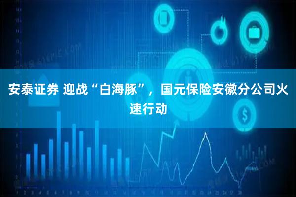 安泰证券 迎战“白海豚”，国元保险安徽分公司火速行动